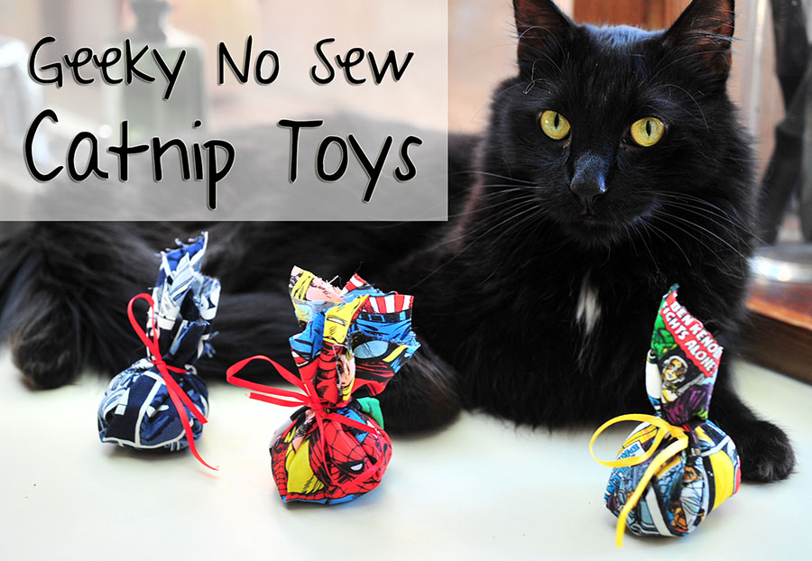 catnip toys for kittens
